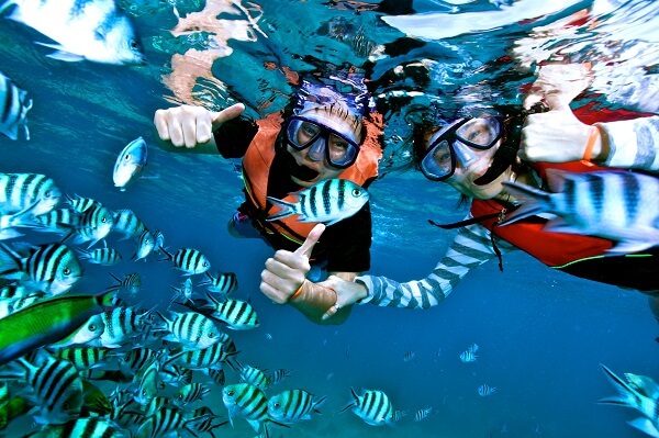 Snorkeling à koh samui