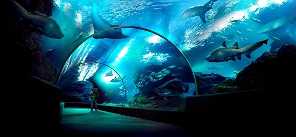 Visiter Sea Life Ocean World à Bangkok