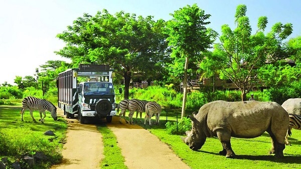 Petite balade pour observer la vie des animaux sauvages