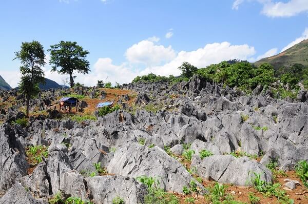 Plateau karstique de Tua Chua