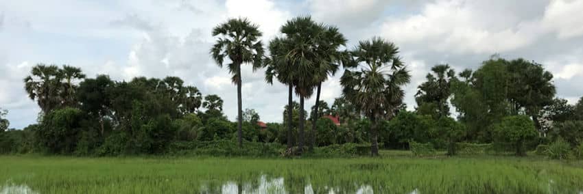 Autour de Siem Reap campagne-sr