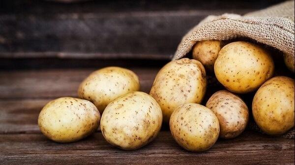 Choisir les pommes de terres avec belle couleur jaune