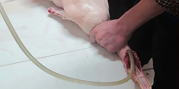 Faire gonfler le canard