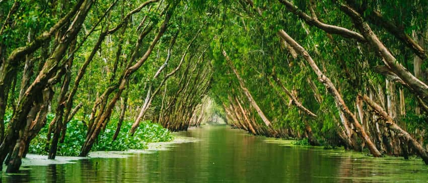 delta-mekong-juin