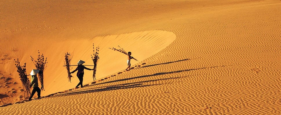 dunes