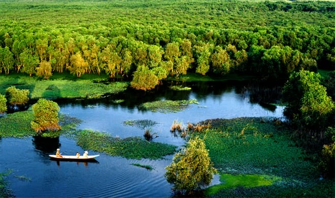Forêt de Cajeputiers à Dong Thap