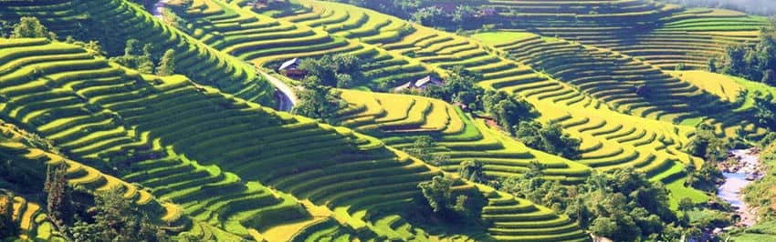 Rizières de Hoang Su Phi hsp