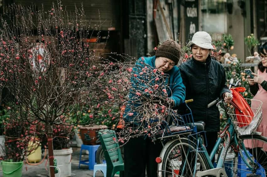nouvel-an-du-Vietnam-le-Tet