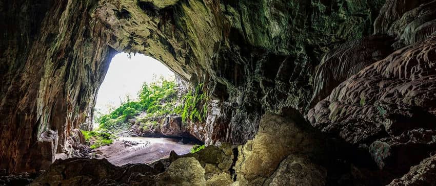phong-nha-juin