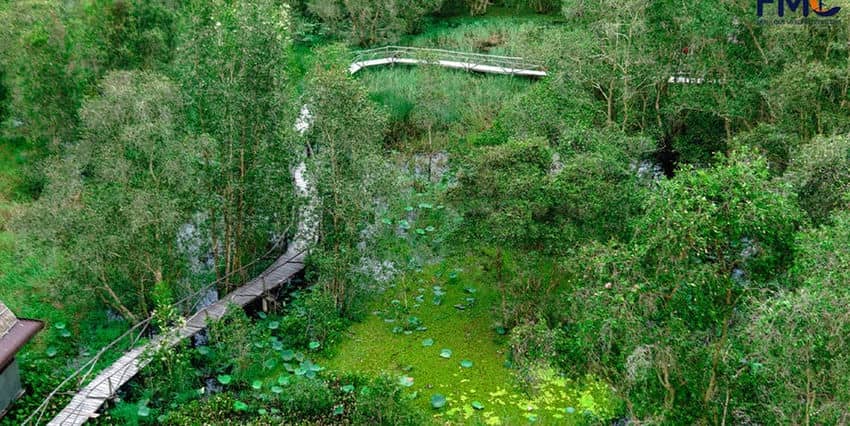pont-bambou-tra-su