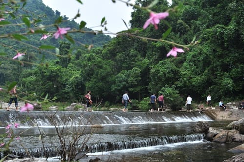 Le-parc-national-de-Khe-Ro-a-Bac-Giang