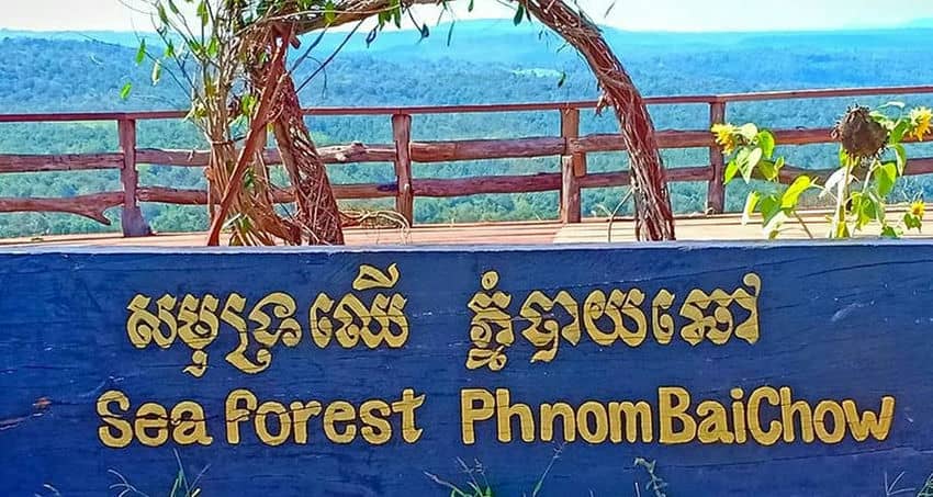 Sea Forest sea-forest