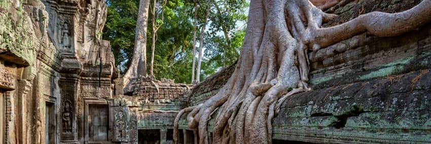 Le Ta Prohm ta-prohm