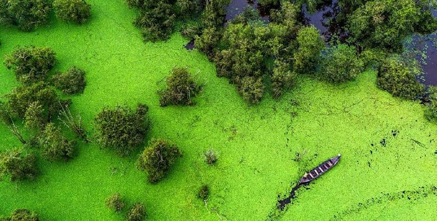 TRam Chim, drone view tram-chim