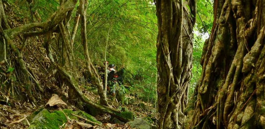 trekking-ratanakiri