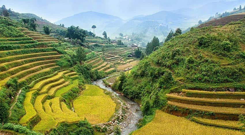 Voyage en solo au Vietnam voyage-solo-vietnam