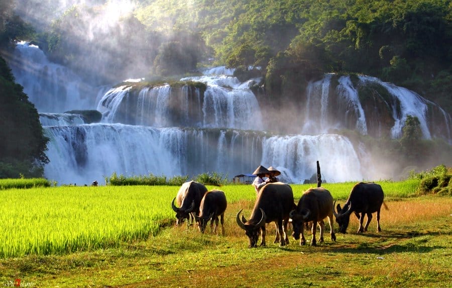 Les chutes de Ban Gioc
