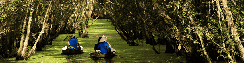 Forêt inondée de Tra Su delta-mekong-tra-su